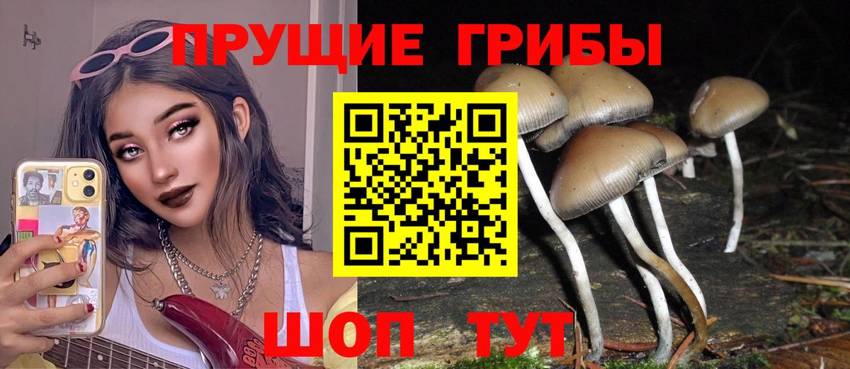 Галлюциногенные грибы GOLDEN TEACHER  Галлюциногенные грибы мицелий  Алексин  где найти   Вход с VPN 